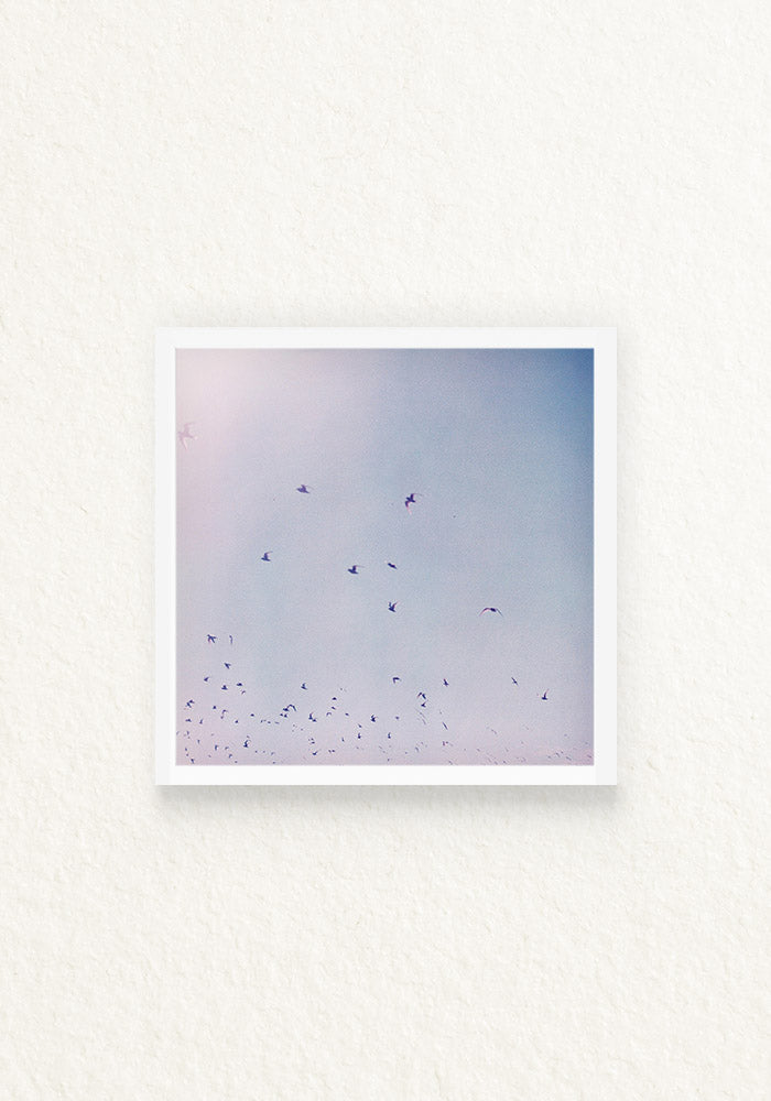 lucy in the sky 120mm