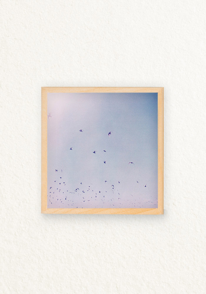 lucy in the sky 120mm