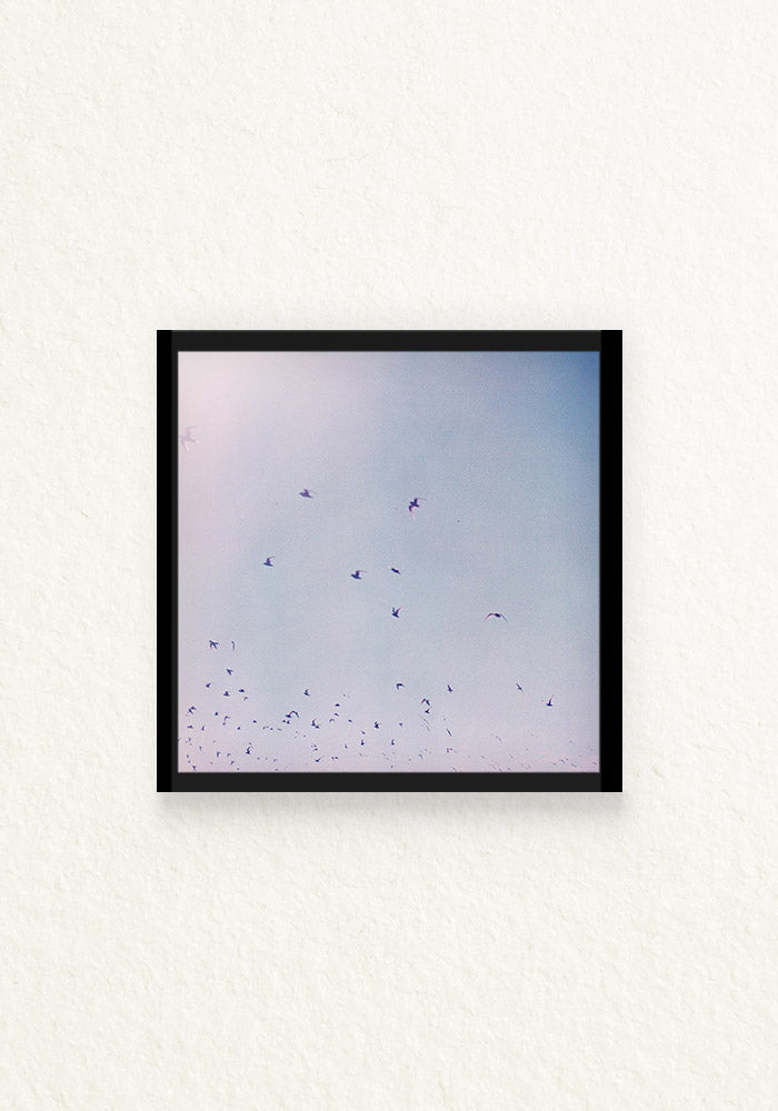 lucy in the sky 120mm