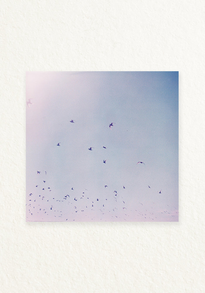lucy in the sky 120mm