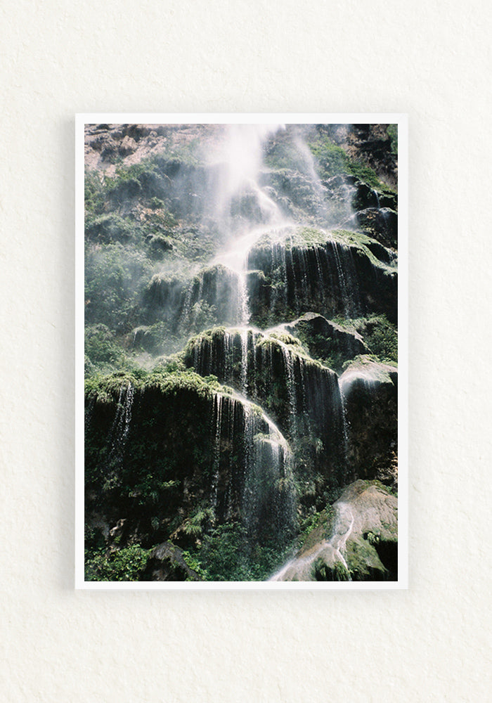 Treefall 35mm