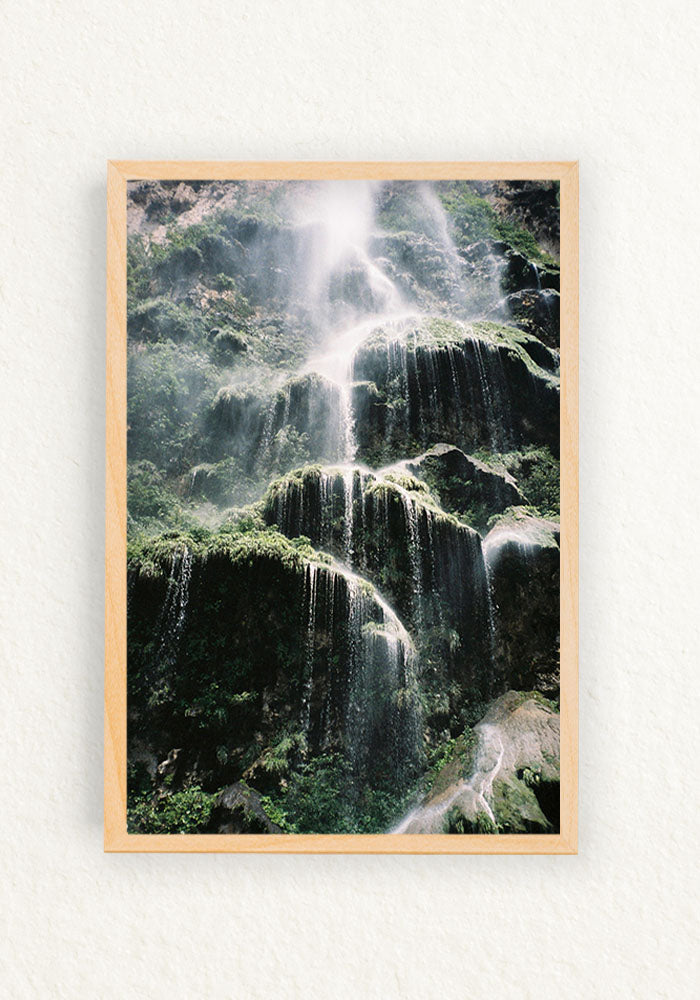 Treefall 35mm