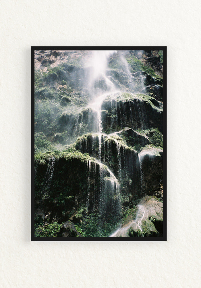 Treefall 35mm