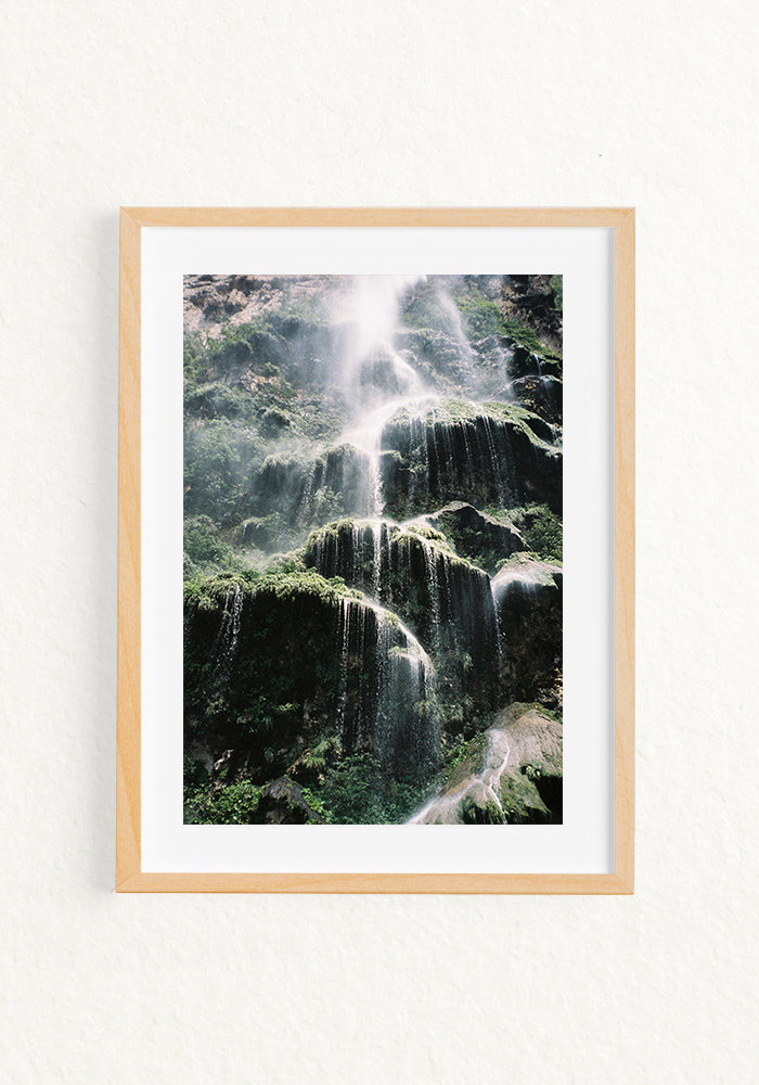 Treefall 35mm