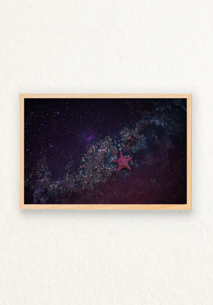 Andromeda,Como es arriba es abajo