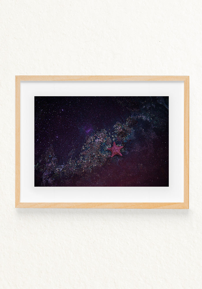 Andromeda,Como es arriba es abajo