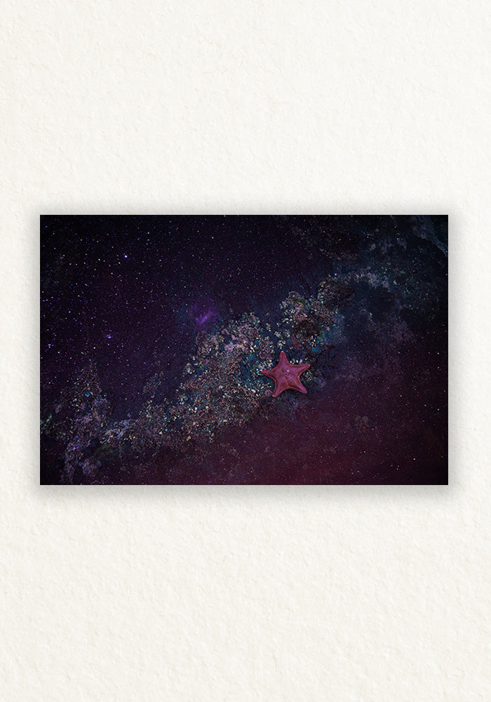 Andromeda,Como es arriba es abajo