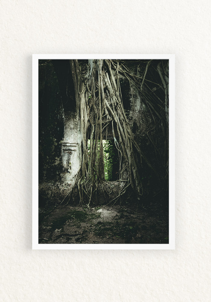 Ruinas Mexico