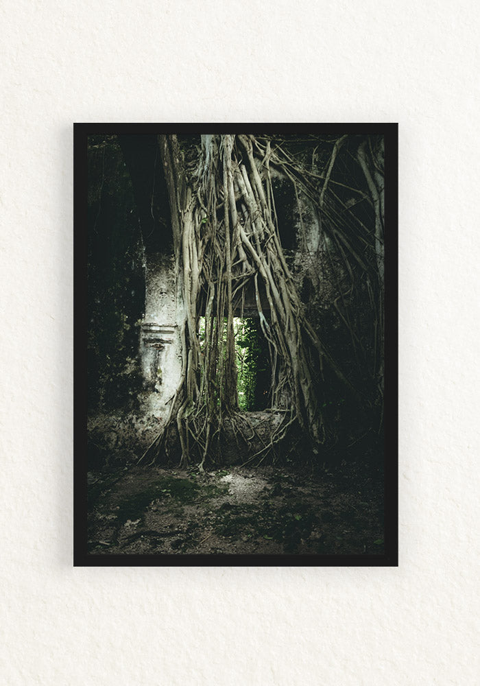 Ruinas Mexico