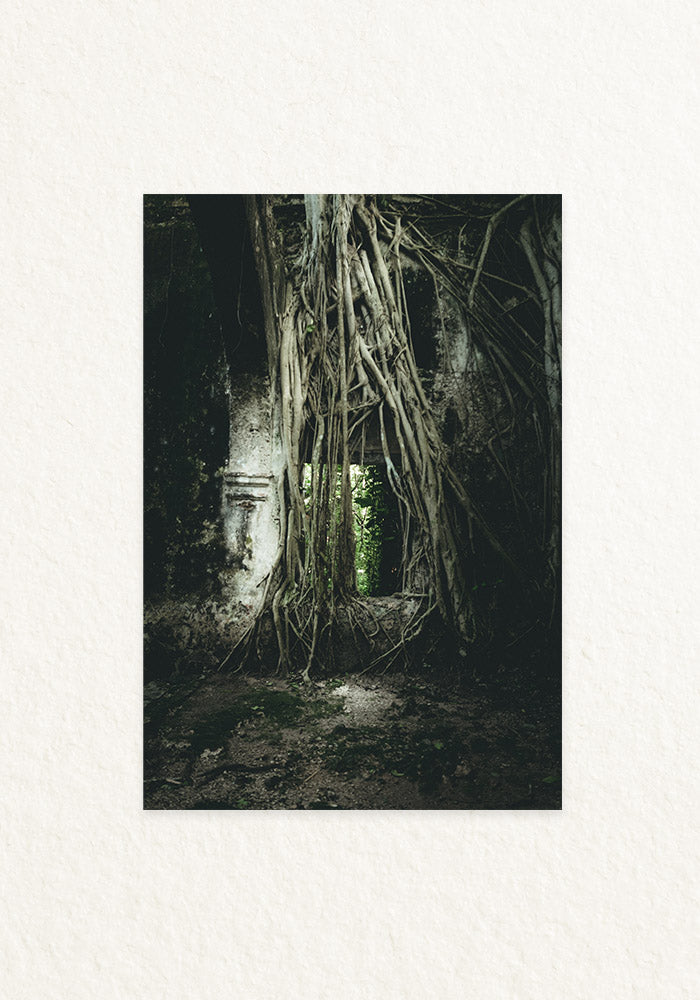Ruinas Mexico