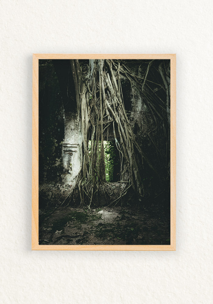 Ruinas Mexico