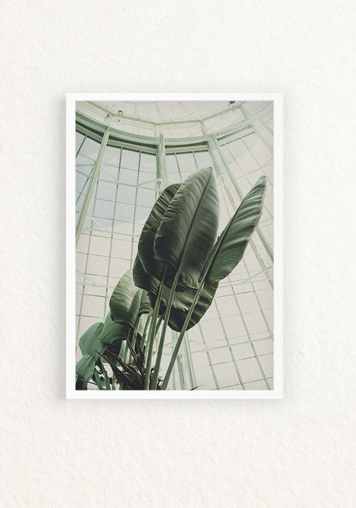 Bronx Botanical Garden