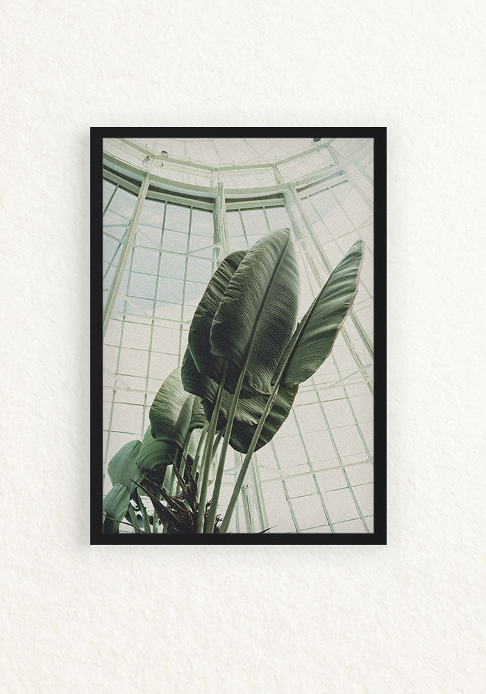 Bronx Botanical Garden