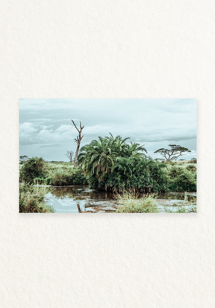 Norongoro