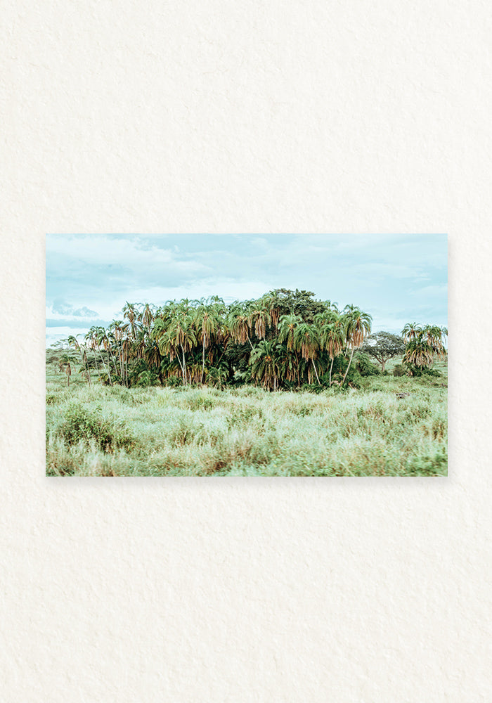 Norongoro