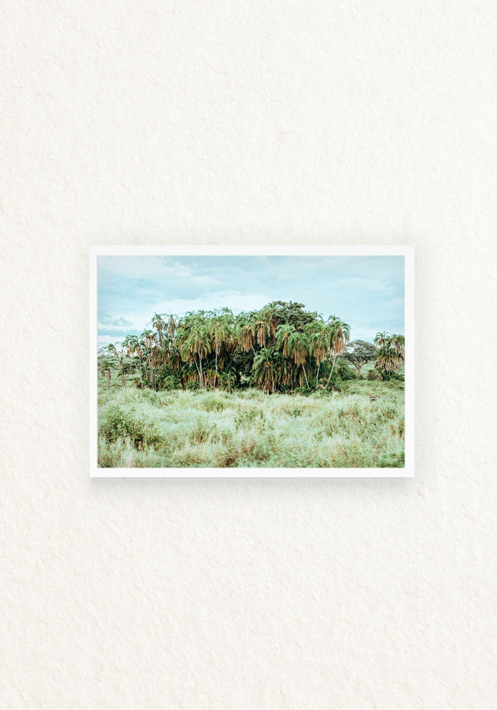 Norongoro