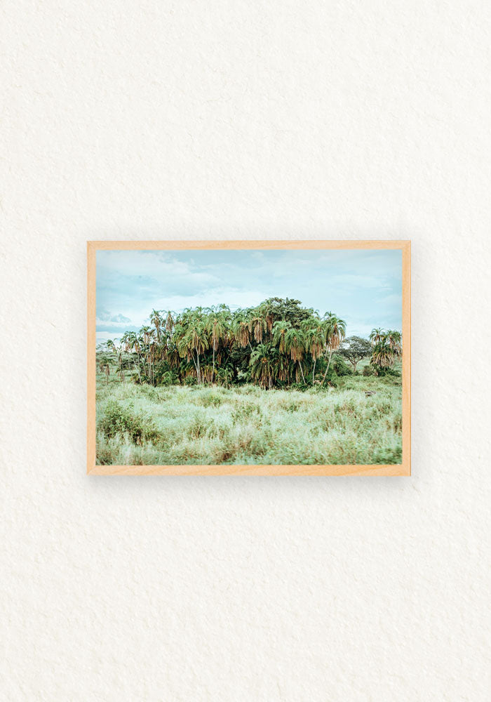 Norongoro