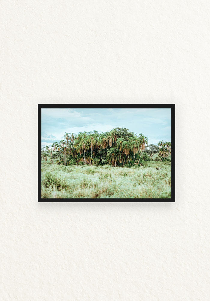 Norongoro