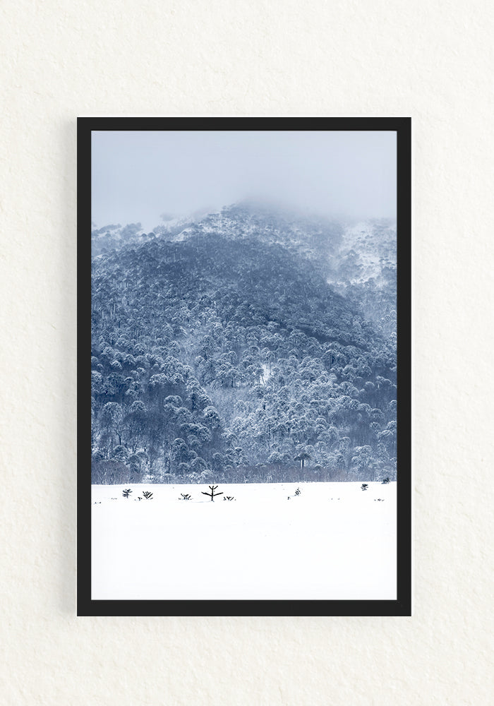 Ventana Temporal
