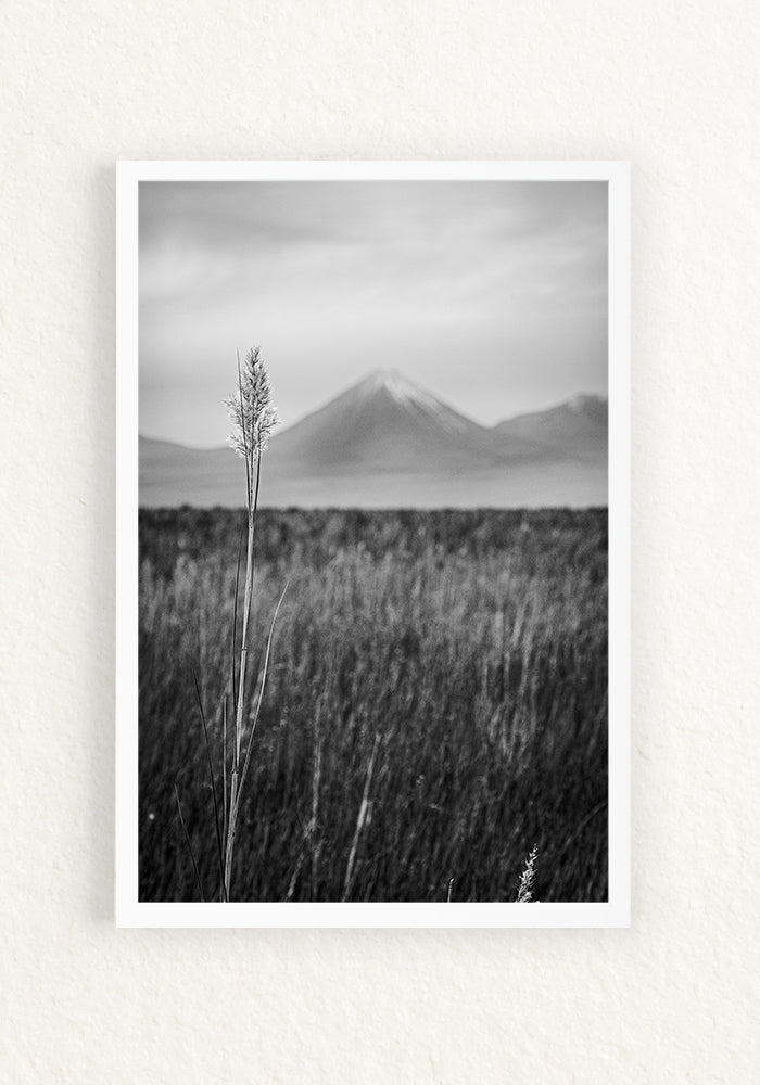 Paisaje Andino