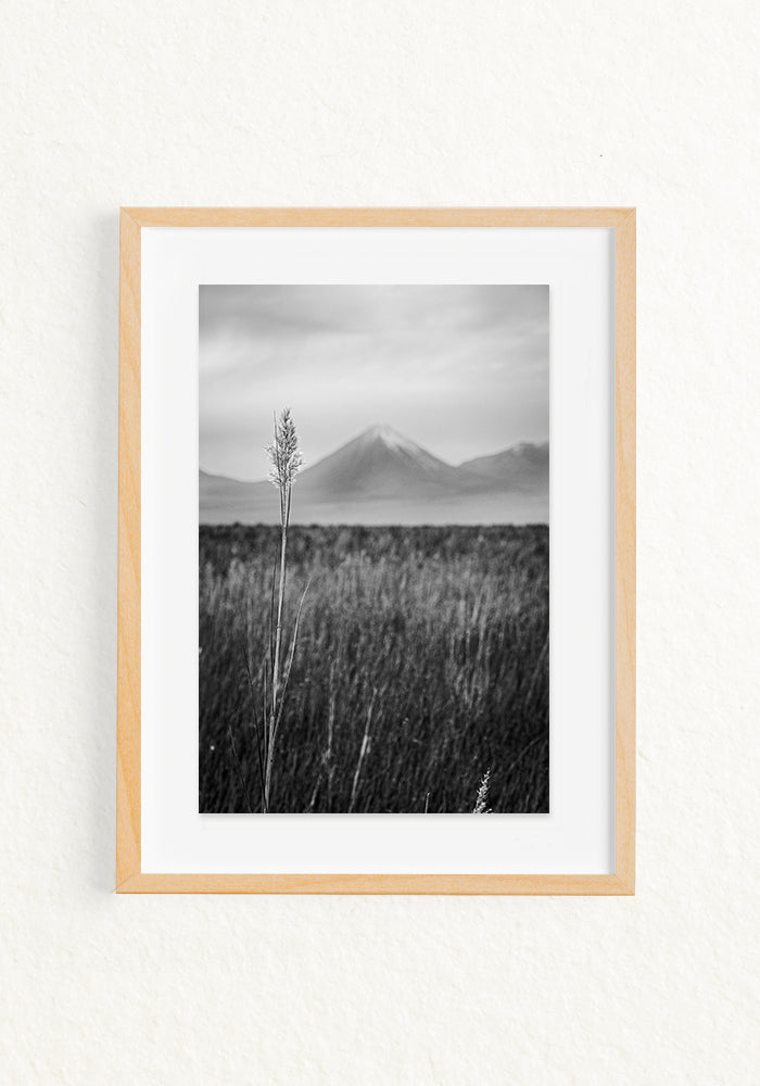 Paisaje Andino