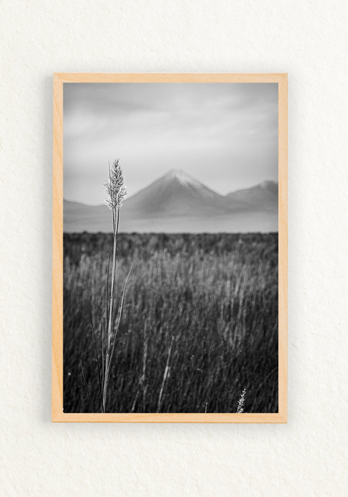 Paisaje Andino