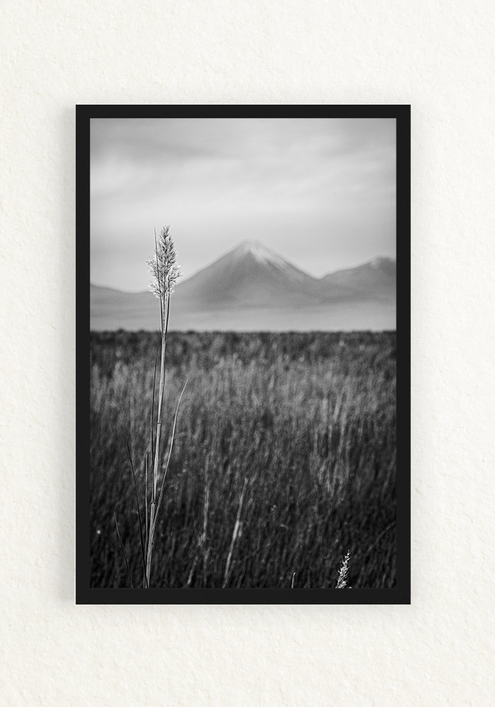 Paisaje Andino