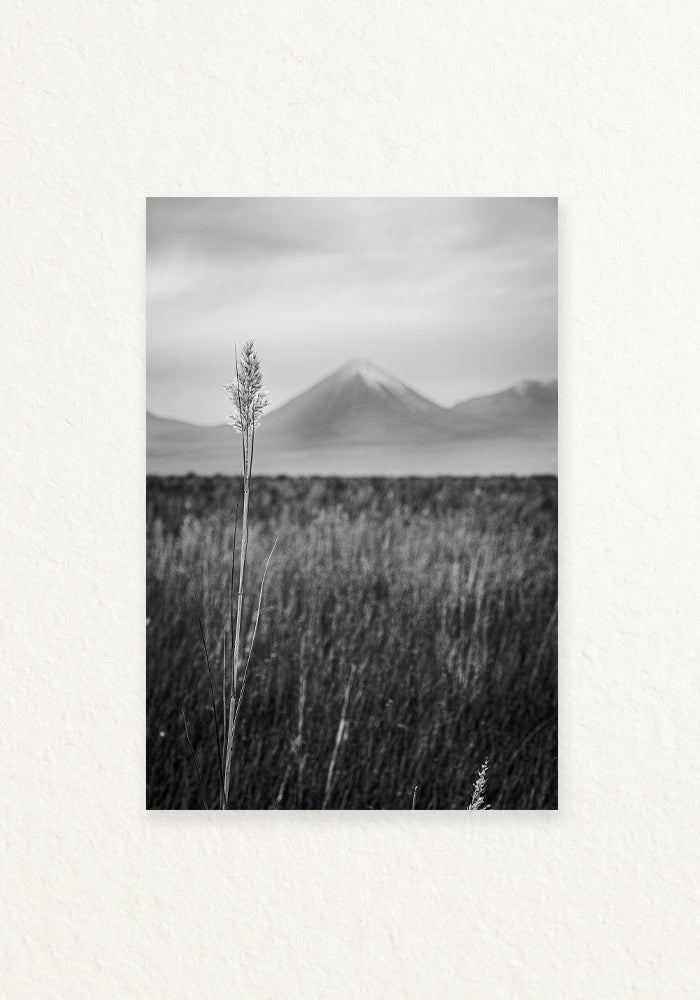 Paisaje Andino