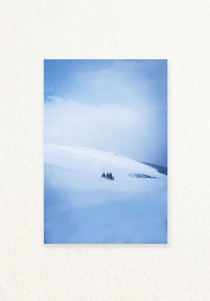 Mundo blanco