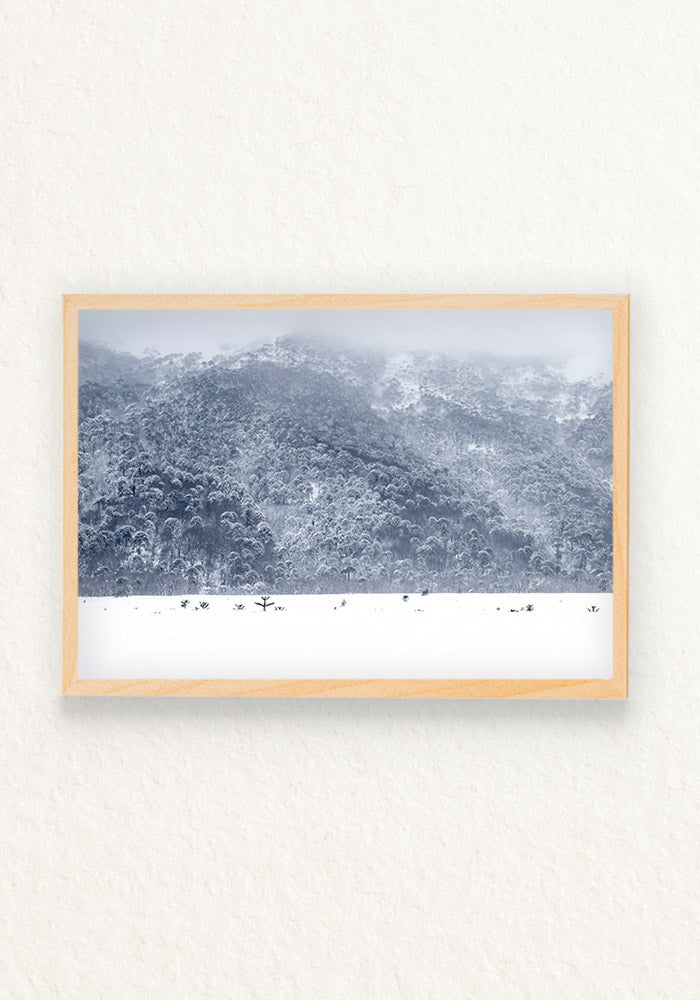 Ventana temporal horizontal