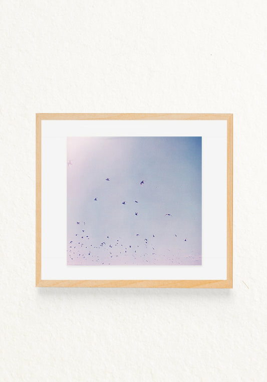 lucy in the sky 120mm