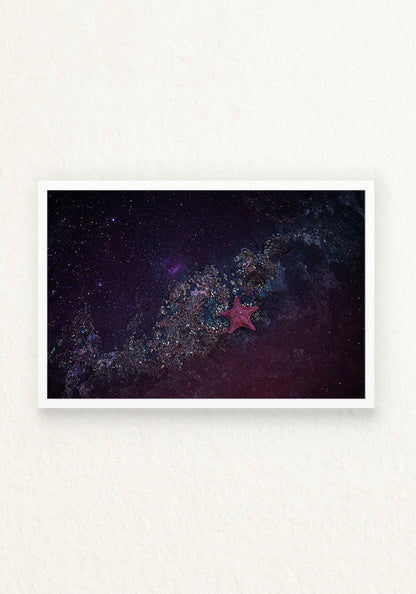 Andromeda,Como es arriba es abajo