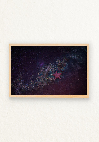 Andromeda,Como es arriba es abajo