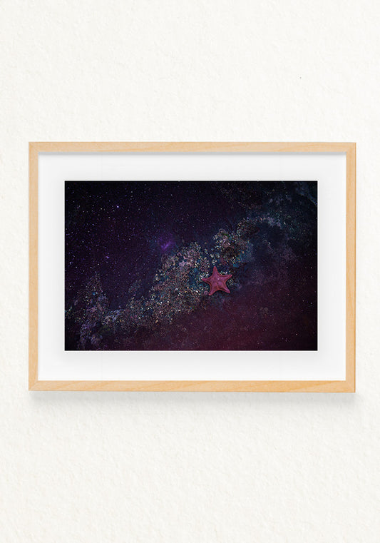 Andromeda,Como es arriba es abajo