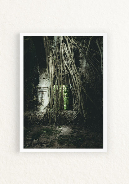 Ruinas Mexico