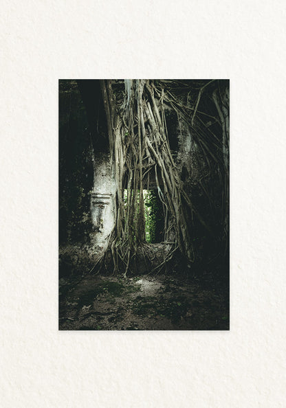 Ruinas Mexico