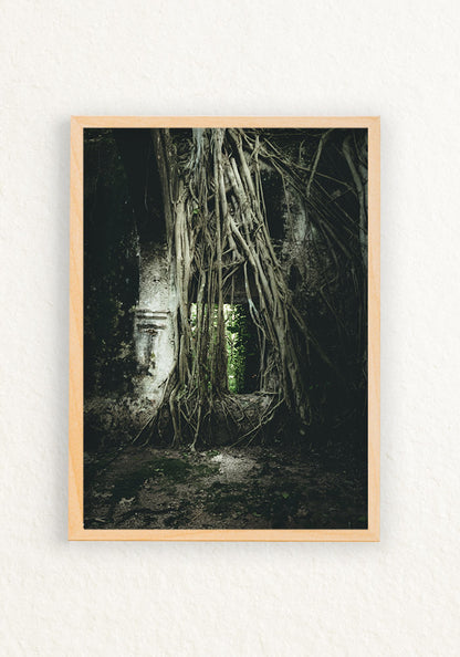 Ruinas Mexico