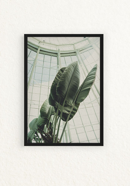 Bronx Botanical Garden