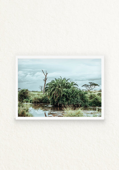 Norongoro