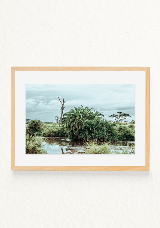 Norongoro