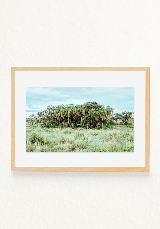 Norongoro