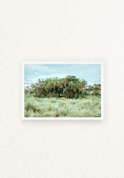 Norongoro