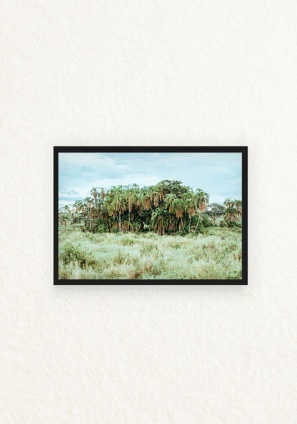 Norongoro