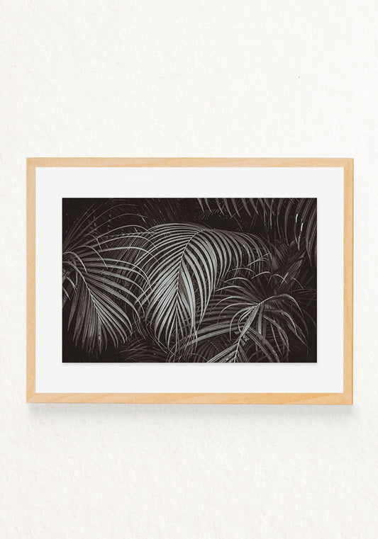 Leaves