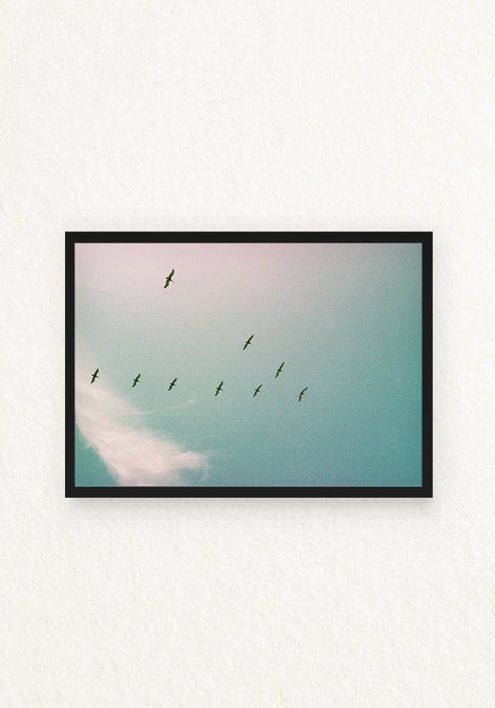 Serie Pajaros Analoga Ecuador en V