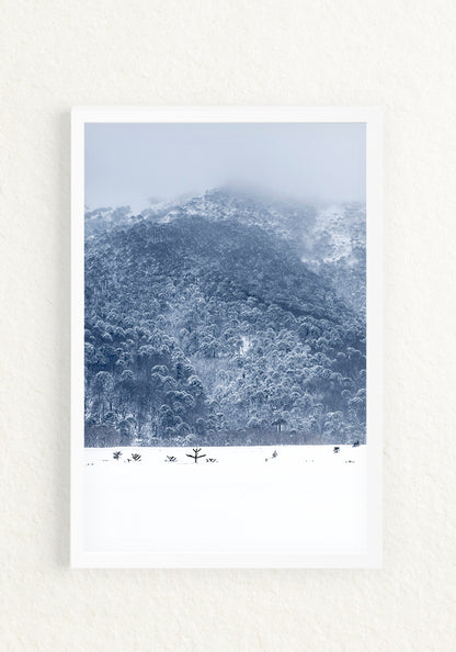 Ventana Temporal