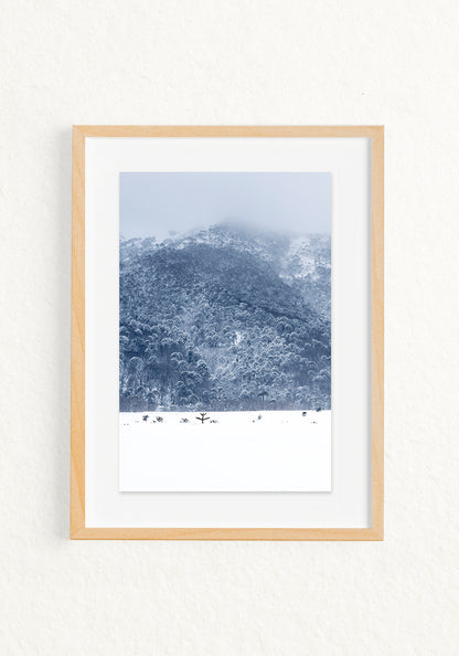 Ventana Temporal