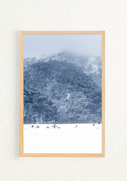 Ventana Temporal