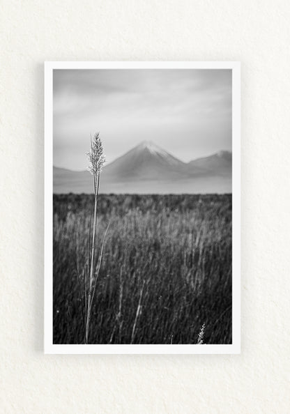 Paisaje Andino
