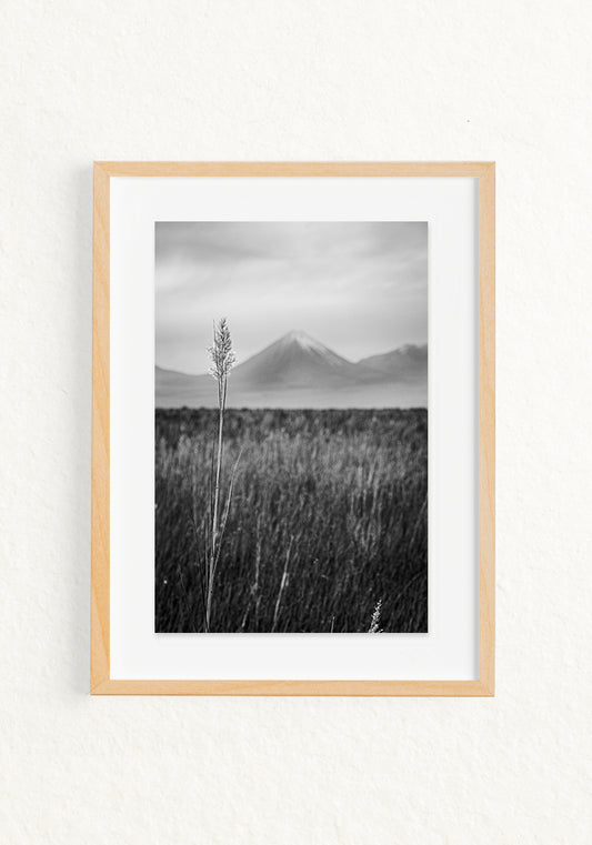 Paisaje Andino